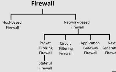 Navigating the Firewall Landscape:  Comprehensive Security for Enterprise Networks